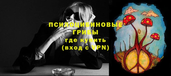 ГАЛЛЮЦИНОГЕННЫЕ ГРИБЫ Новозыбков