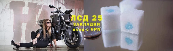 ГАЛЛЮЦИНОГЕННЫЕ ГРИБЫ Новозыбков
