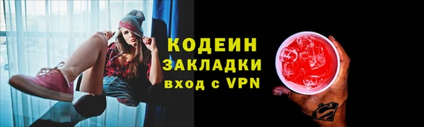 ГАЛЛЮЦИНОГЕННЫЕ ГРИБЫ Новозыбков