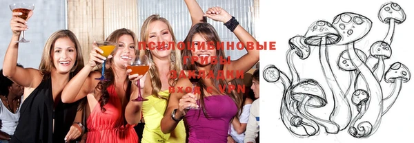 ГАЛЛЮЦИНОГЕННЫЕ ГРИБЫ Новозыбков