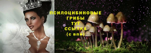 ГАЛЛЮЦИНОГЕННЫЕ ГРИБЫ Новозыбков