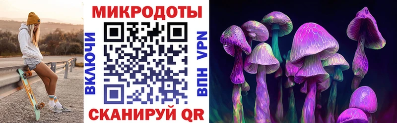 Купить где  Козельск  Галлюциногенные грибы Psilocybine cubensis 